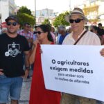 Sul Informação - Sem medidas para acabar com «roubos», produtores de alfarroba podem cortar EN125