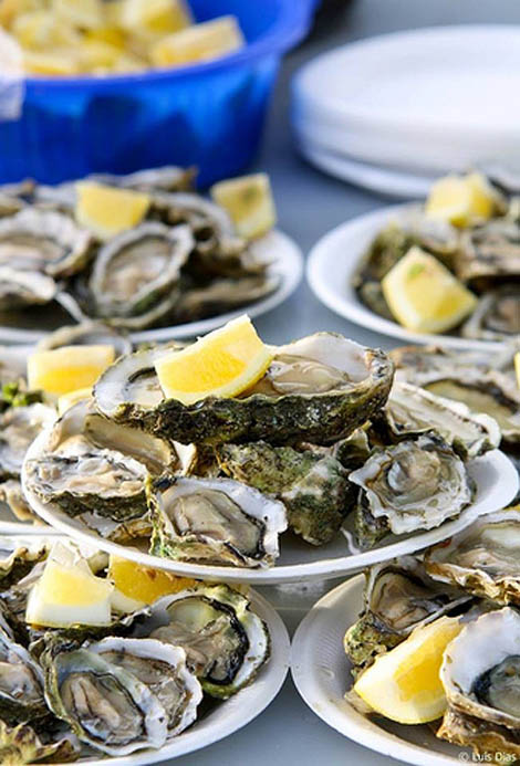 Sul Informação - Festa Branca regressa a Loulé, para fechar querido mês de agosto no Algarve