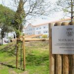 Sul Informação - Mata do Liceu de Faro está de cara lavada e pronta para os próximos 30 anos