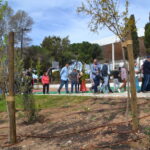 Sul Informação - Mata do Liceu de Faro está de cara lavada e pronta para os próximos 30 anos