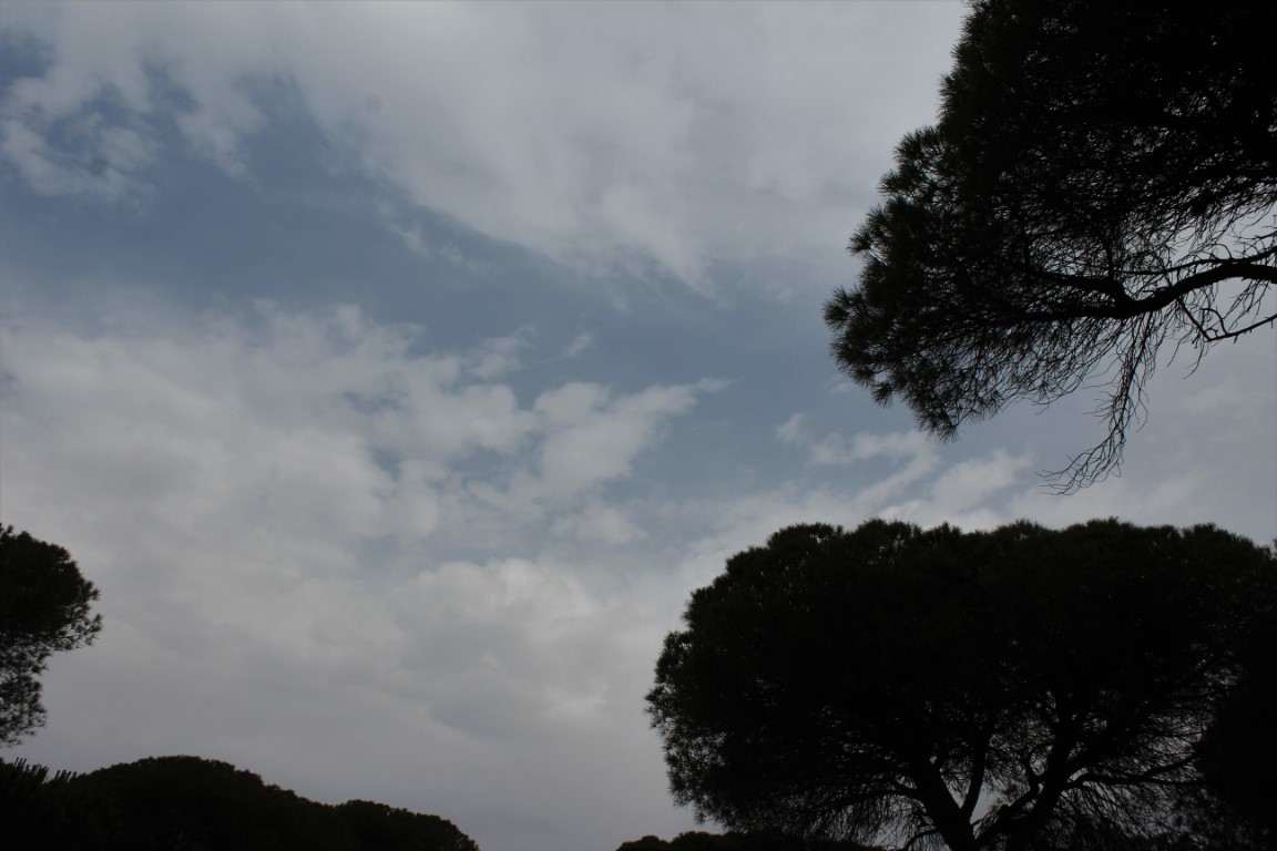 Sul Informação - Chuva, pó e água quentinha: bem-vindos ao Algarve