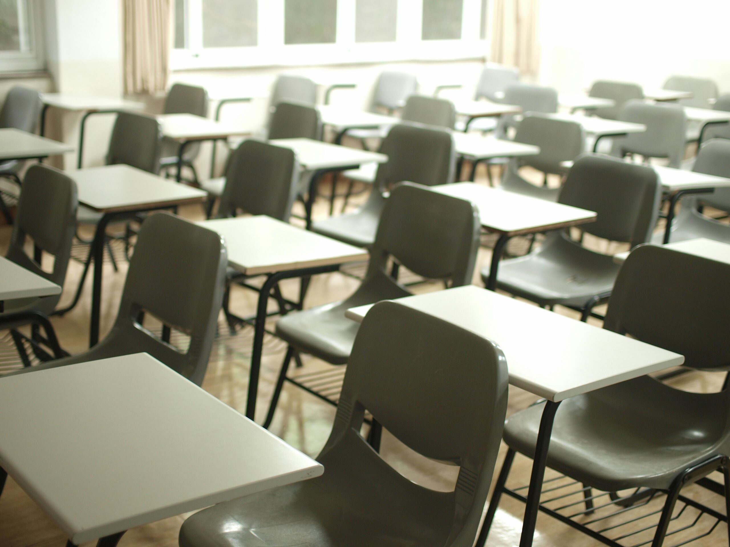 Sul Informação - Aumento de estudantes imigrantes exige aos professores ensino menos eurocêntrico, diz socióloga