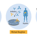 Sul Informação - Prémio Nobel da Medicina atribuído a 3 cientistas pela descoberta do vírus da Hepatite C