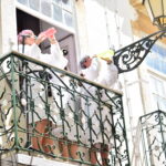 Sul Informação - A menina esteve à janela em Faro