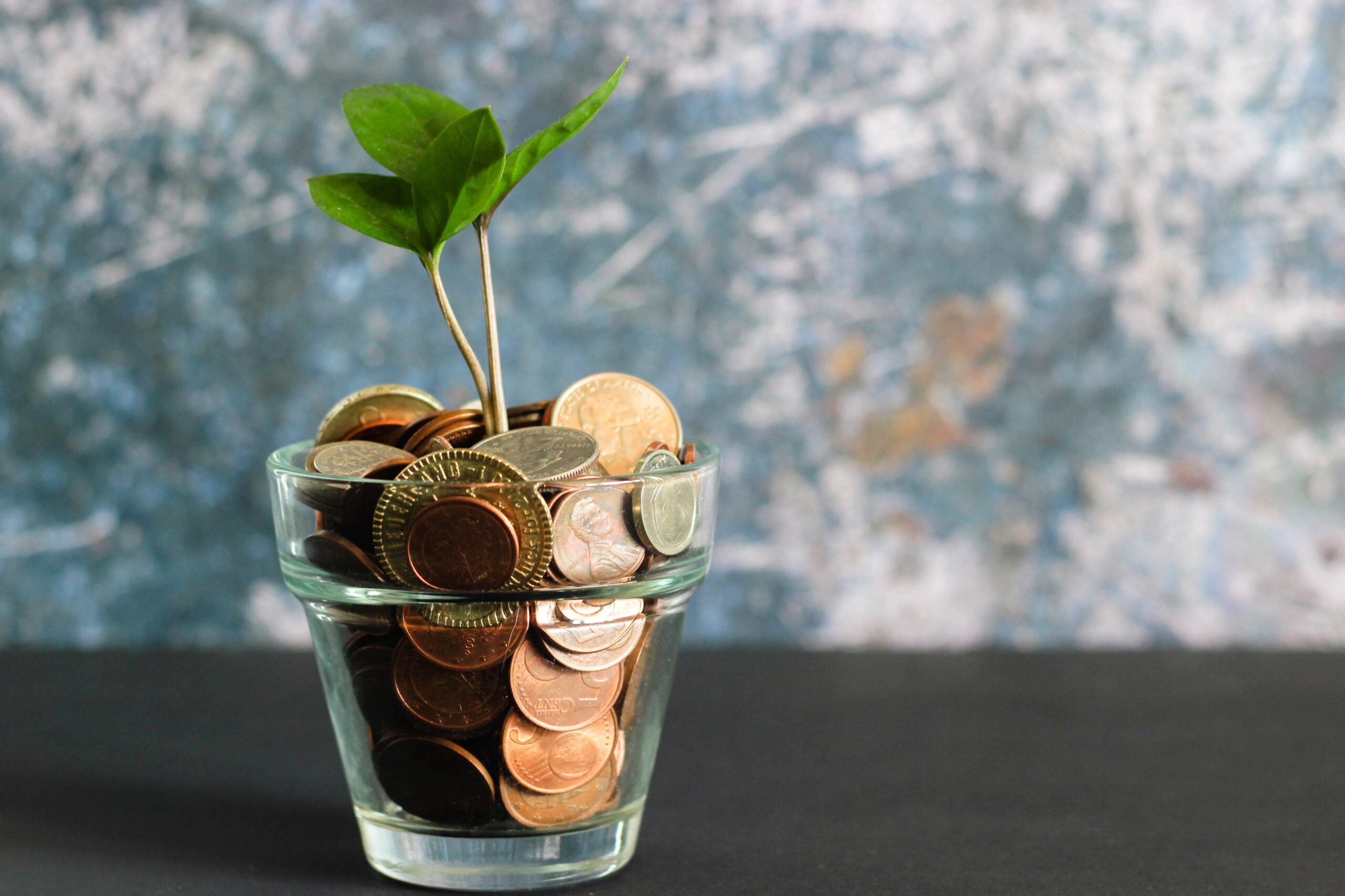 Sul Informação - Workshops sobre literacia financeira nas bibliotecas do Baixo Alentejo