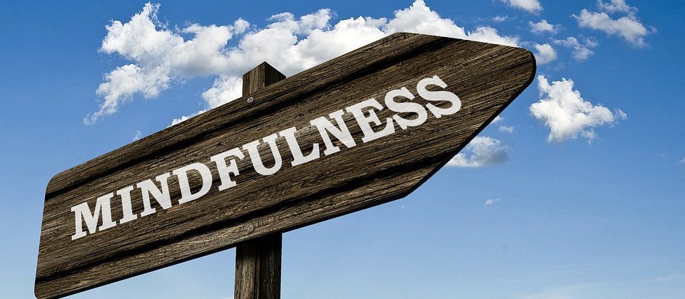 Sul Informação - Mindfulness é tema de sessão na Biblioteca de Loulé