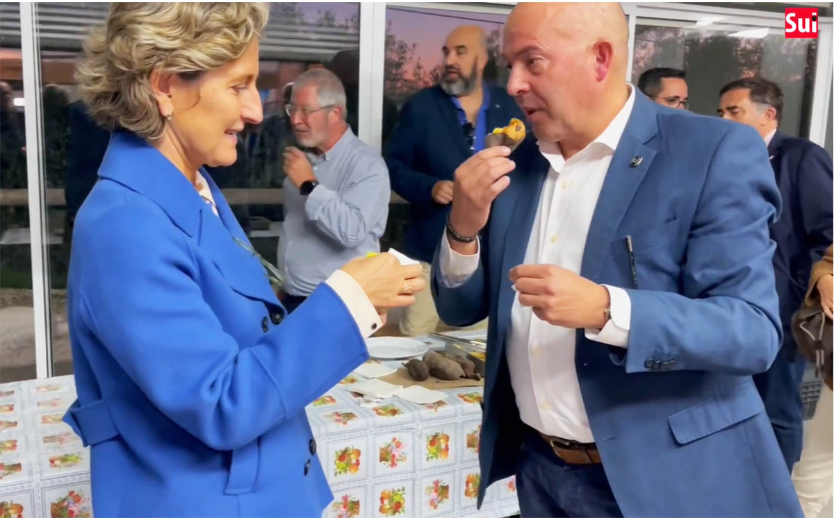 Sul Informação - «Não há batata-doce como a de Aljezur!»