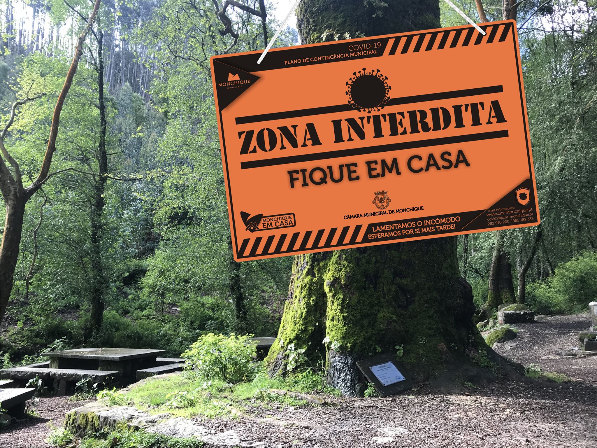 Sul Informação