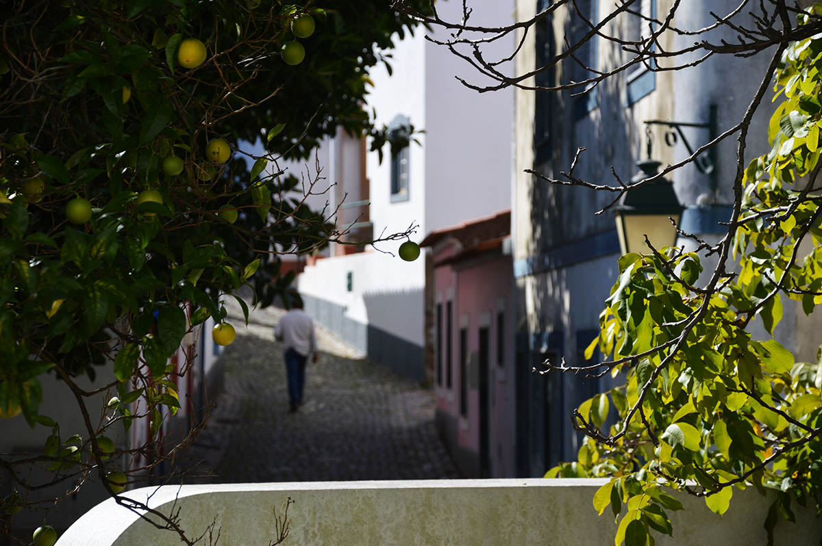 Sul Informação - Testes em Monchique detetam mais 3 casos positivos entre auxiliares de ação educativa