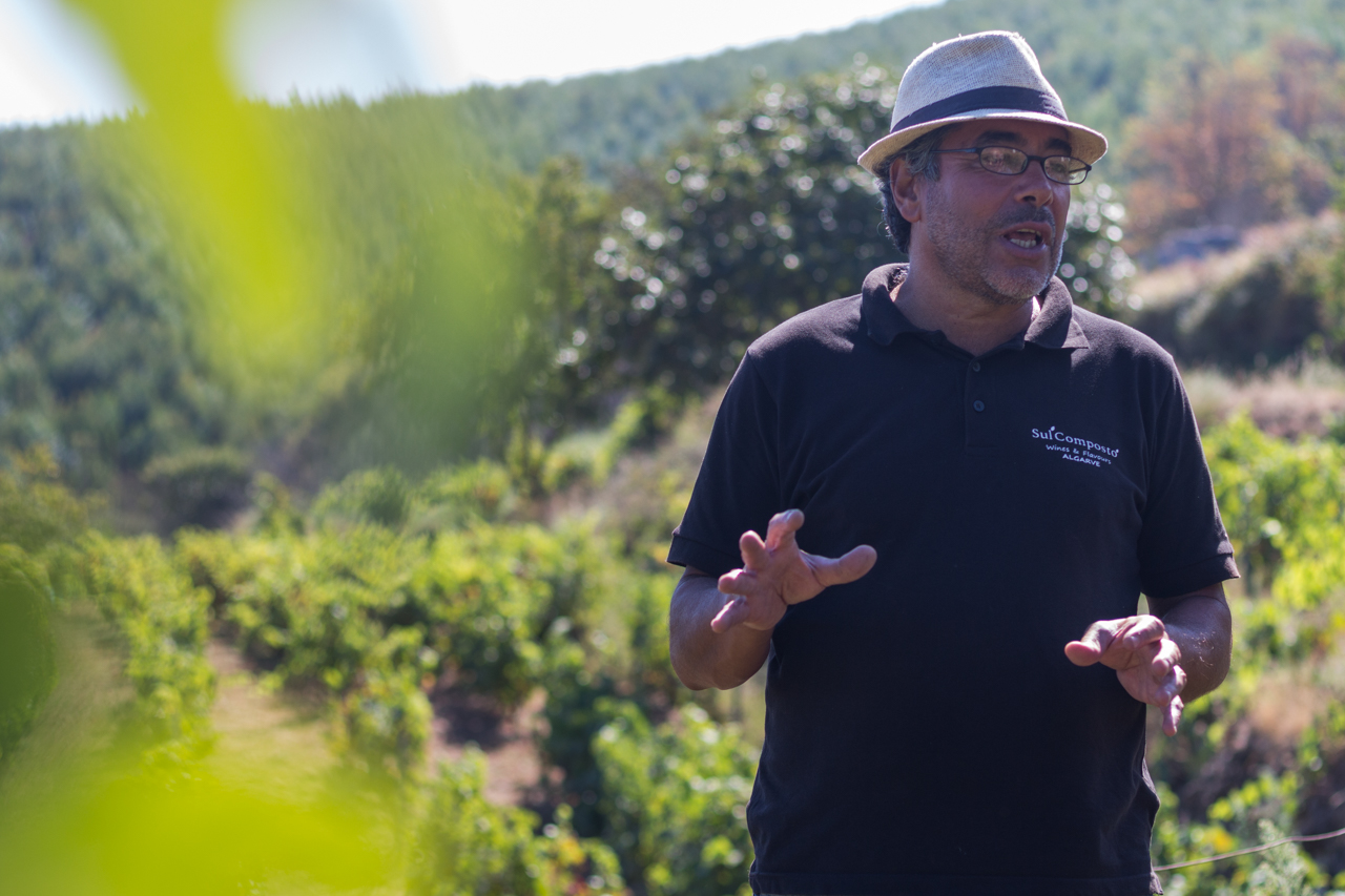 Sul Informação - Depois de medronho e água, agora também há vinho em Monchique