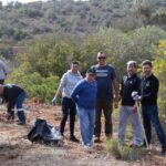 Sul Informação - Montanha Verde plantou 42 mil árvores em oito concelhos algarvios