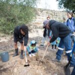 Sul Informação - Montanha Verde plantou 42 mil árvores em oito concelhos algarvios