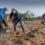 Sul Informação - Montanha Verde plantou 42 mil árvores em oito concelhos algarvios
