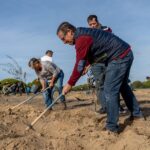 Sul Informação - Montanha Verde plantou 42 mil árvores em oito concelhos algarvios