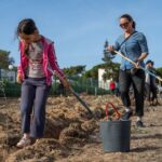 Sul Informação - Montanha Verde plantou 42 mil árvores em oito concelhos algarvios