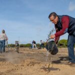 Sul Informação - Montanha Verde plantou 42 mil árvores em oito concelhos algarvios