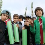 Sul Informação - Montanha Verde plantou 42 mil árvores em oito concelhos algarvios