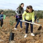 Sul Informação - Montanha Verde plantou 42 mil árvores em oito concelhos algarvios