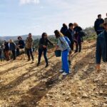 Sul Informação - Montanha Verde plantou 42 mil árvores em oito concelhos algarvios