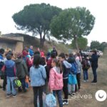 Sul Informação - Montanha Verde plantou 42 mil árvores em oito concelhos algarvios