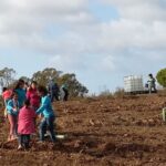 Sul Informação - Montanha Verde plantou 42 mil árvores em oito concelhos algarvios