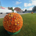 Sul Informação - Mostra da Laranja em Silves marca o regresso à normalidade no Algarve [com vídeo]