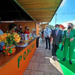 Sul Informação - Mostra da Laranja em Silves marca o regresso à normalidade no Algarve [com vídeo]