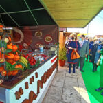Sul Informação - Mostra da Laranja em Silves marca o regresso à normalidade no Algarve [com vídeo]