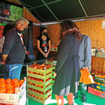 Sul Informação - Mostra da Laranja em Silves marca o regresso à normalidade no Algarve [com vídeo]