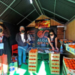 Sul Informação - Mostra da Laranja em Silves marca o regresso à normalidade no Algarve [com vídeo]