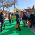 Sul Informação - Mostra da Laranja em Silves marca o regresso à normalidade no Algarve [com vídeo]