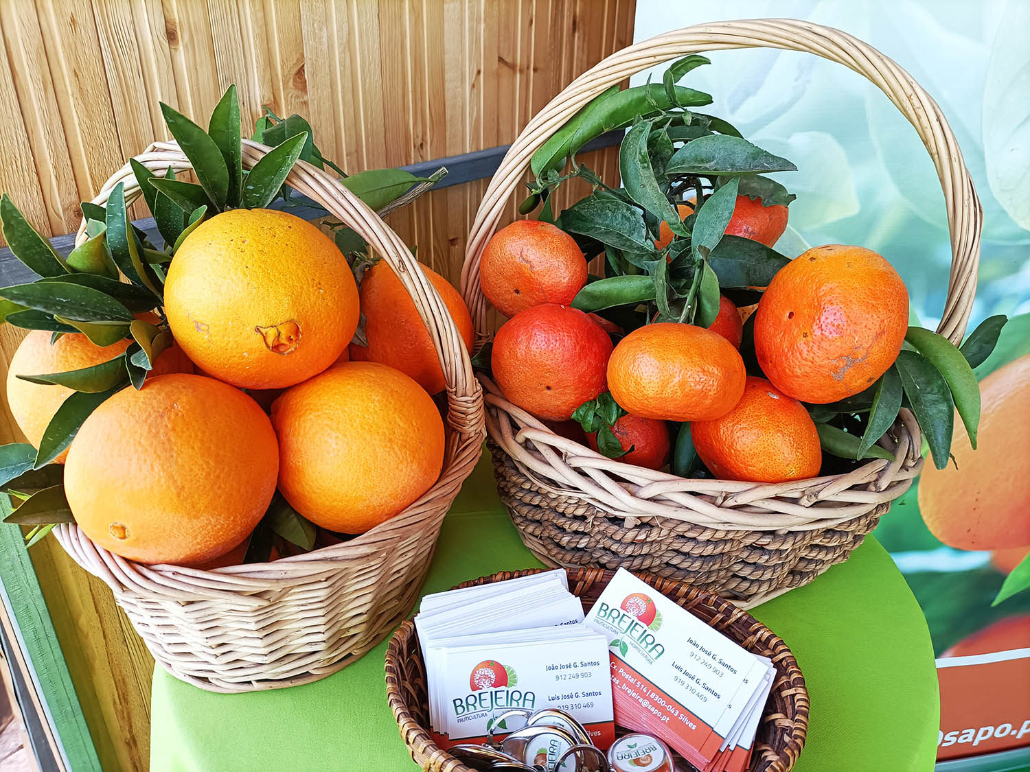 Sul Informação - Mostra da Laranja em Silves marca o regresso à normalidade no Algarve [com vídeo]