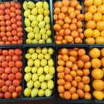 Sul Informação - A Mostra da Laranja já anima Silves