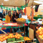 Sul Informação - III Mostra Silves Capital da Laranja já abriu portas [fotogaleria]