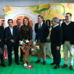 Sul Informação - III Mostra Silves Capital da Laranja já abriu portas [fotogaleria]