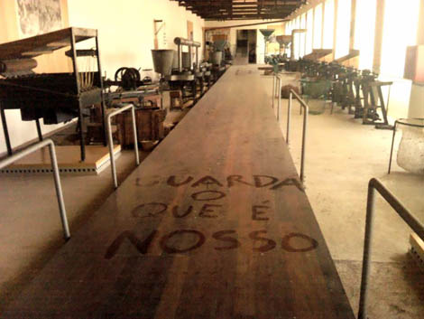 Sul Informação - Alunos de escola de Silves reabrem simbolicamente Museu da Cortiça por um dia