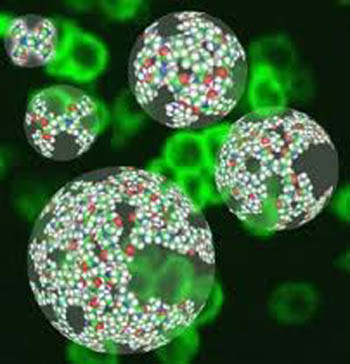 Sul Informação - Nanopartícula contra o cancro da mama criada em Coimbra foi patenteada nos EUA