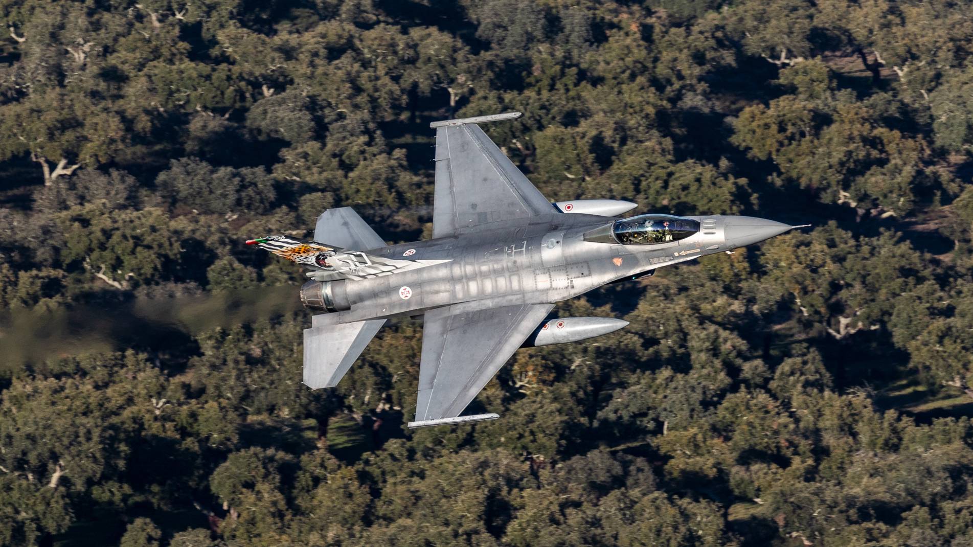 Sul Informação - Festival aéreo da NATO adiado para Julho em Beja