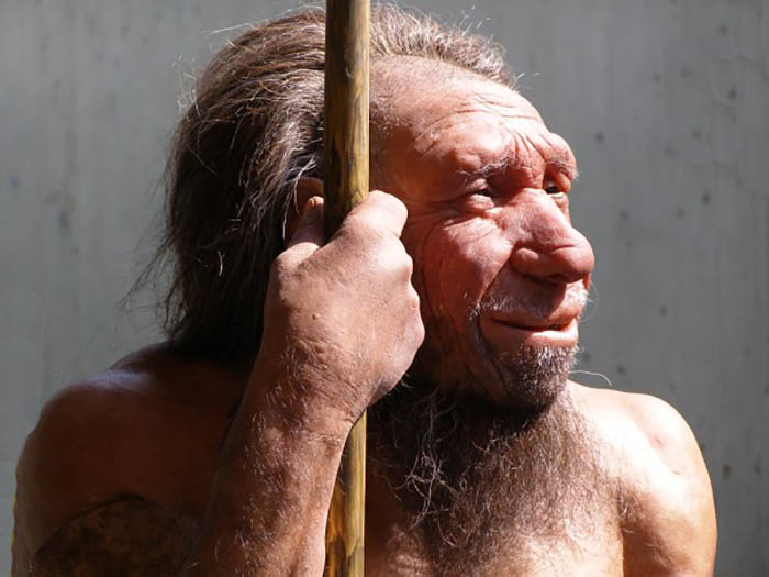 Sul Informação - Sexo entre neandertais e humanos modernos começou bem mais cedo do que se pensava