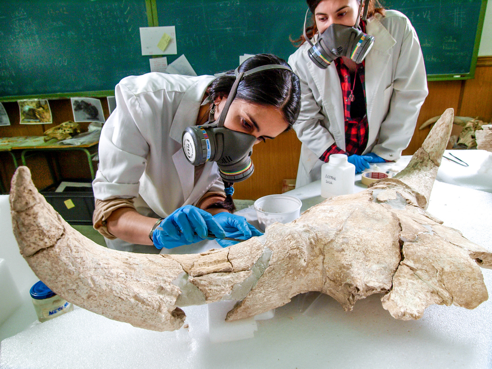 Sul Informação - UAlg: Investigadora participa em estudo que confirma que Neandertais tinham capacidade simbólica