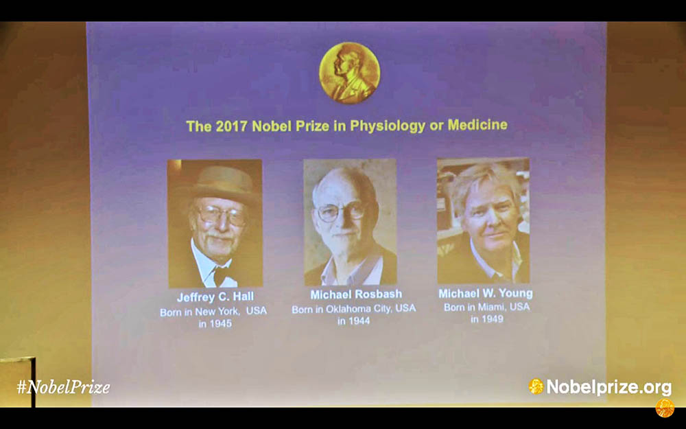 Sul Informação - “Relógio biológico” vale a 3 americanos o Prémio Nobel da Medicina e Fisiologia 2017