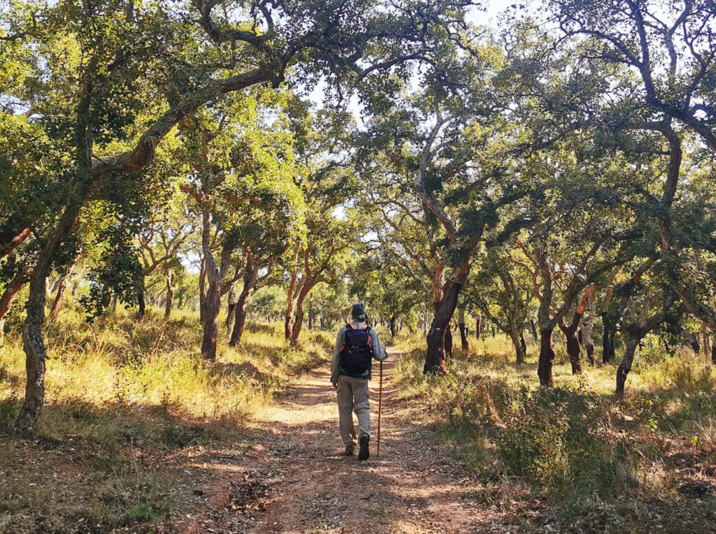 Sul Informação - Primeiro Festival de Caminhadas do Alentejo arranca dia 4 e prolonga-se até fim de Novembro