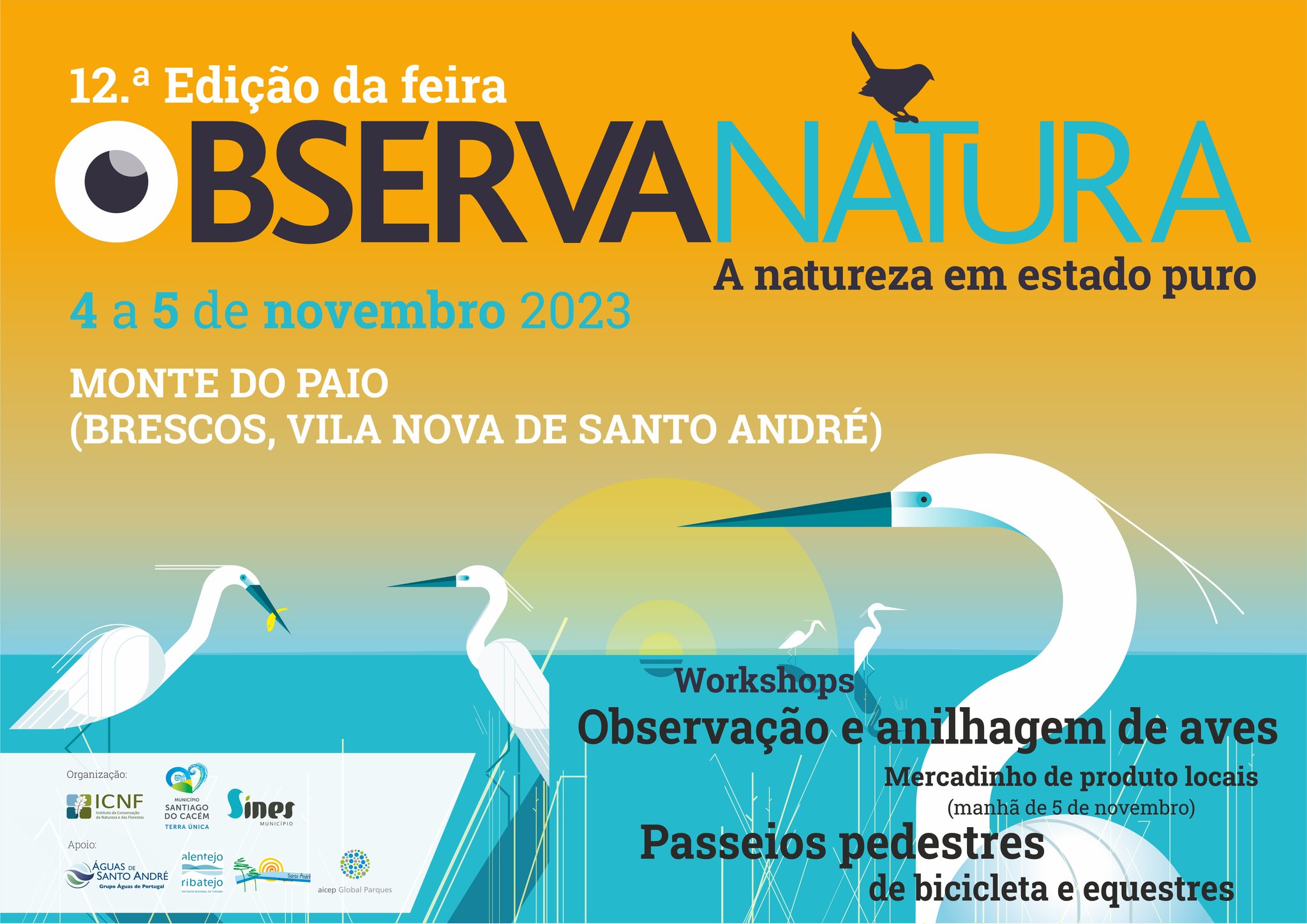 Sul Informação
