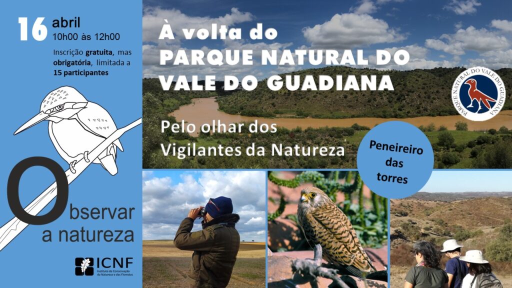 Sul Informação