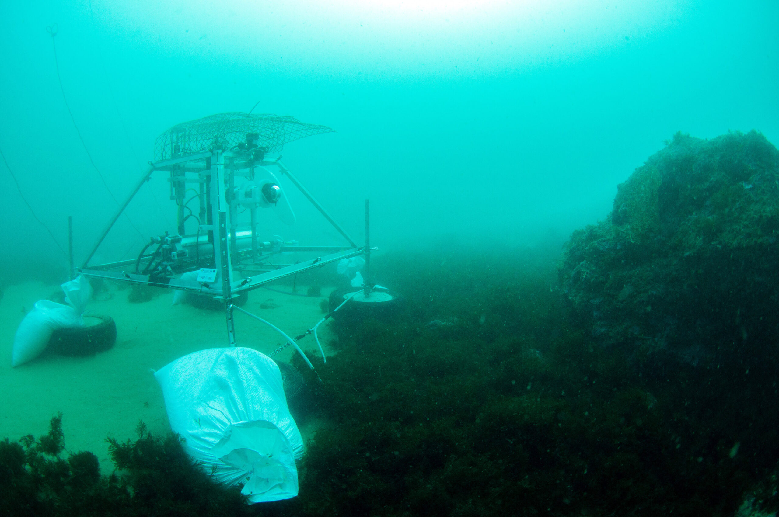 Sul Informação - Observatório subaquático em Sagres permite ver e ouvir o oceano em tempo real