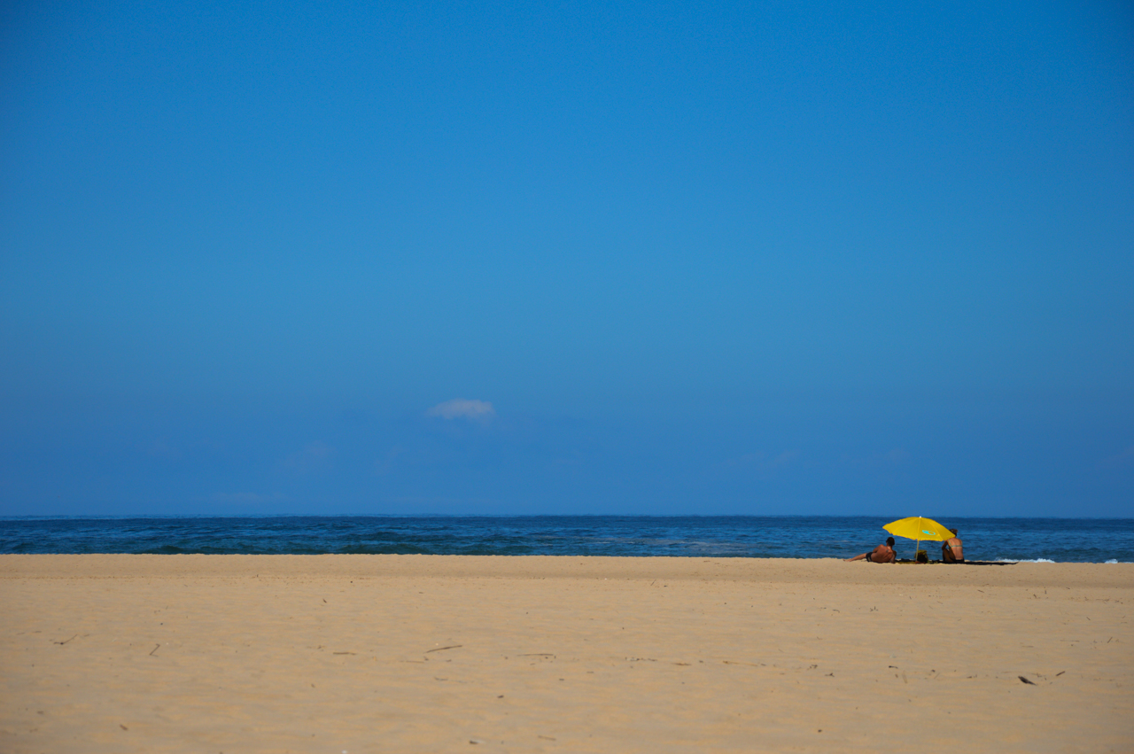 Sul Informação - Observatório para o Turismo Sustentável do Algarve: Importância das parcerias num projeto com futuro