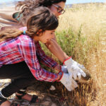 Sul Informação - Alunos do 1º ciclo de Vila do Bispo devolvem ouriços-cacheiros à natureza