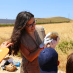 Sul Informação - Alunos do 1º ciclo de Vila do Bispo devolvem ouriços-cacheiros à natureza