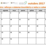Sul Informação - Calendário quer incentivar o consumo de fruta