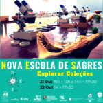 Sul Informação - NOVA Escola de Sagres está de volta com atividades lúdicas para toda a família